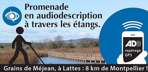 Sur smartphone : promenade en audiodescription &agrave; travers les &eacute;crans.
