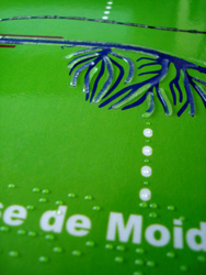 D&eacute;tail de la planche tactile